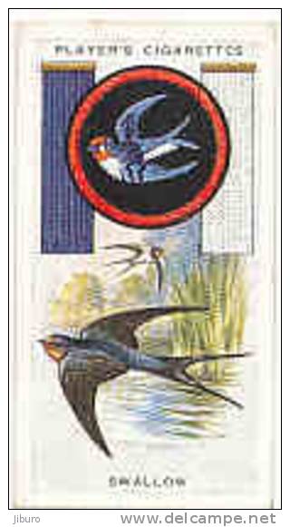 Owl / Boyscout & Girl Guide - Patrol Signs & Emblems / Swallow / Hirondelle Bird Oiseau / IM 39 Players - Player's