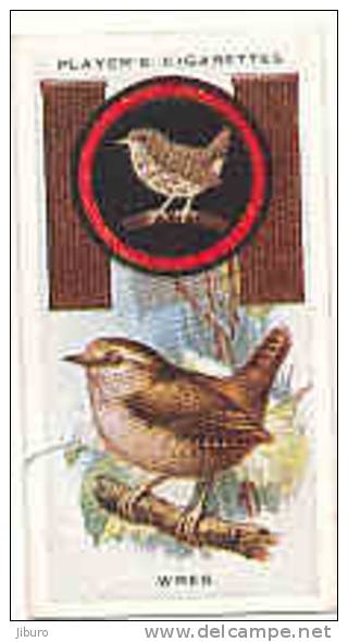 Owl / Boyscout & Girl Guide - Patrol Signs & Emblems / Wren / Roitelet Bird Oiseau / IM 39 Players - Player's