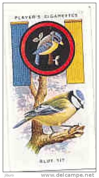 Owl / Boyscout & Girl Guide - Patrol Signs & Emblems / Blue Tit / Mésange Bleue Bird Oiseau / IM 39 Players - Player's