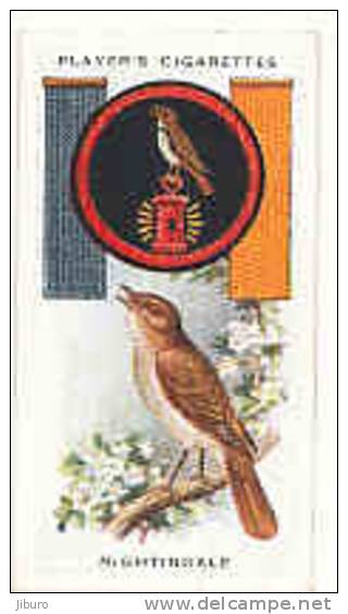 Owl / Boyscout & Girl Guide - Patrol Signs & Emblems / Nightingale / Rossignol Bird Oiseau / IM 39 Players - Player's