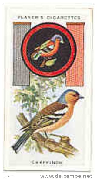 Owl / Boyscout & Girl Guide - Patrol Signs & Emblems / Chaffinch / Pinson Bird Oiseau / IM 39 Players - Player's