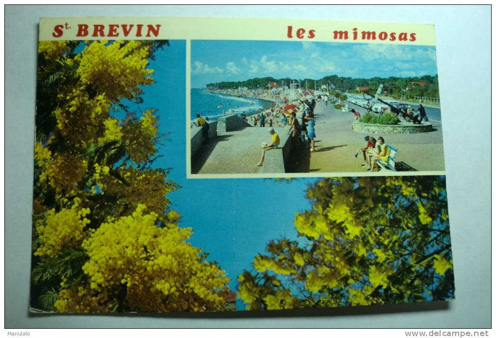 D 44 - Saint Brevin - Cité Des Mimosas - Saint-Brevin-les-Pins