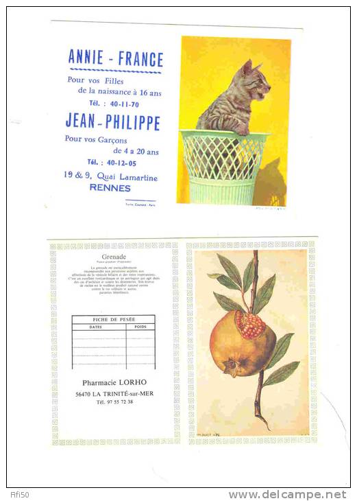 2 CALENDRIERS  1963 ANNIE FRANCE & J. PHILIPP  Q. LAMARTINE Rennes 35 CHAT & 1987  PHARMACIE LORHO LA TRINITE / MER 56 - Grand Format : 1961-70