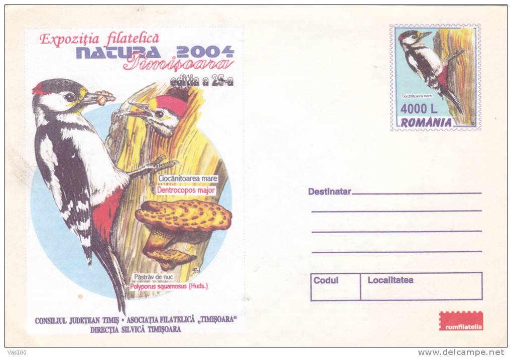 GRIMPEURS, 2004, COVER STATIONERY, ENTIER POSTAL, UNUSED, ROMANIA - Postal Stationery