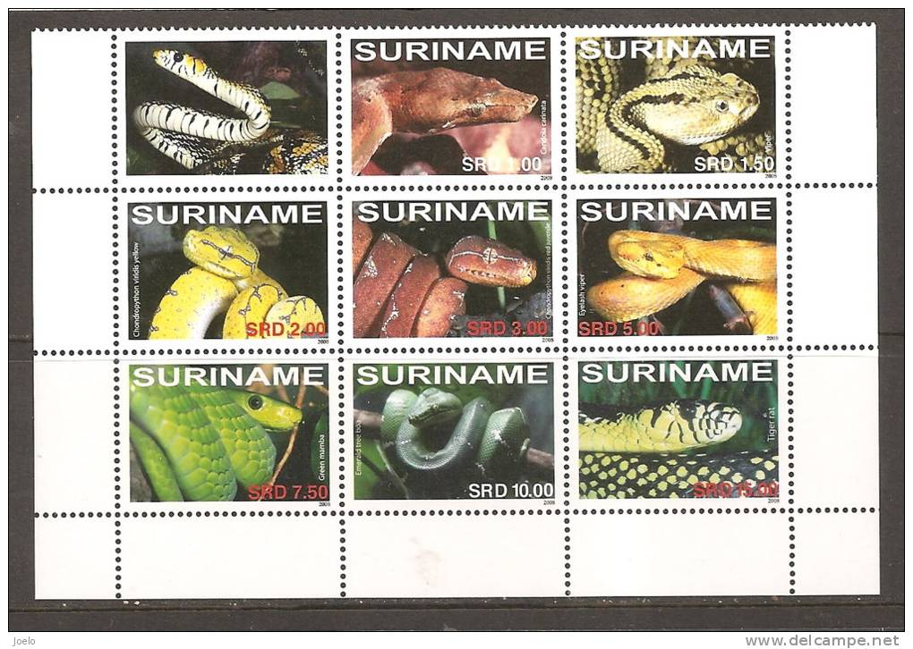 SURINAM 2008 SNAKES BLOCK MNH - Serpenti