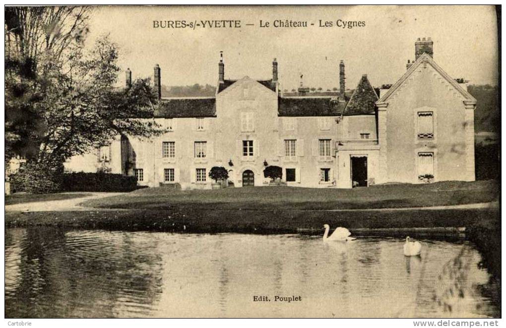 91 - BURES-SUR-YVETTE - Le Château - Les Cygnes - Bures Sur Yvette