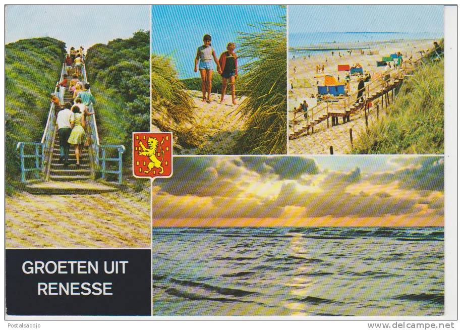 (NE329) RENESSE. - Renesse