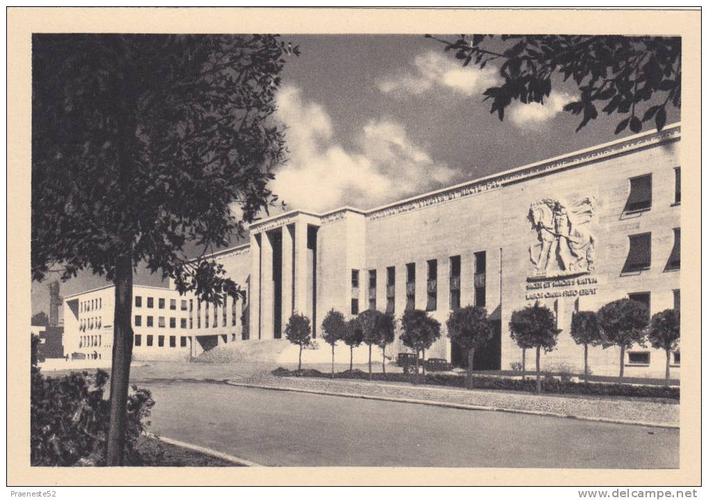 Roma-citta ' Universitaria-piazza Centrale Edifici Refettorio.giurisprudenza E Lettere E Filosofia - Enseñanza, Escuelas Y Universidades