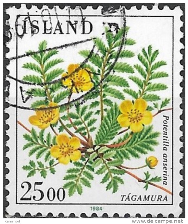 ICELAND 1984 Flowers - 25k Silverweed  FU - Oblitérés