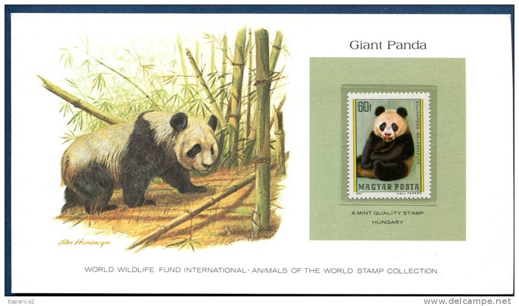 HONGRIE 1977 Superbe CARTE Collection WWF GIANT PANDA  Avec Timbre  Neuf**sans Charnière / 33NAT - Unused Stamps