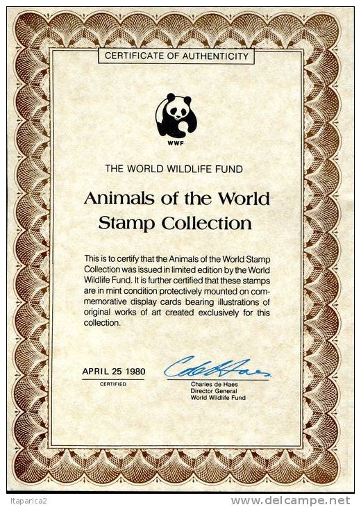 HONGRIE 1977 Superbe CARTE Collection WWF GIANT PANDA  Avec Timbre  Neuf**sans Charnière / 33NAT - Nuovi