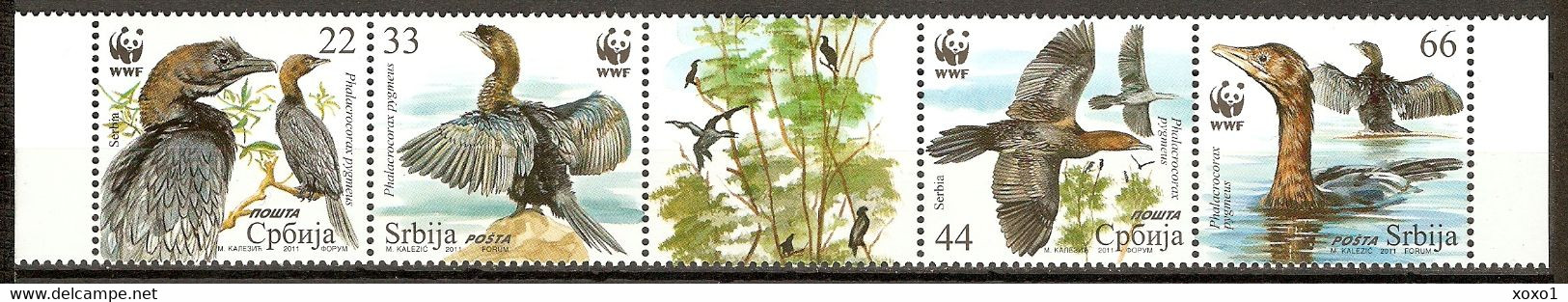 Serbia 2011 MiNr. 400 - 403  Serbien BIRDS WWF  Protected Species The Pygmy Cormorant 4v  MNH**  5,00 € - Albatrosse & Sturmvögel