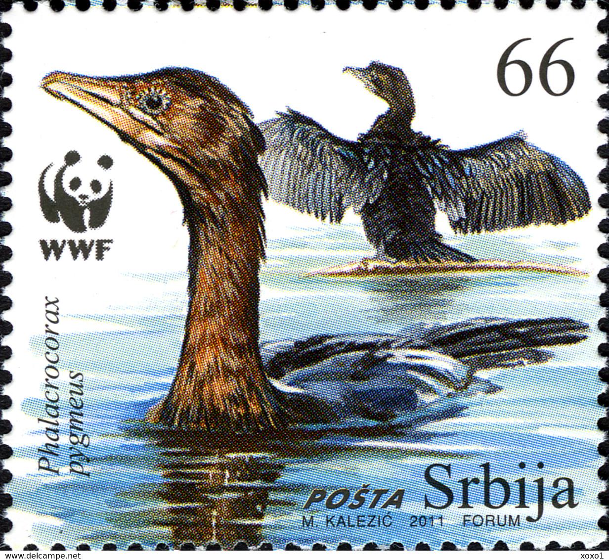 Serbia 2011 MiNr. 400 - 403  Serbien BIRDS WWF  Protected Species The Pygmy Cormorant 4v  MNH**  5,00 € - Albatros
