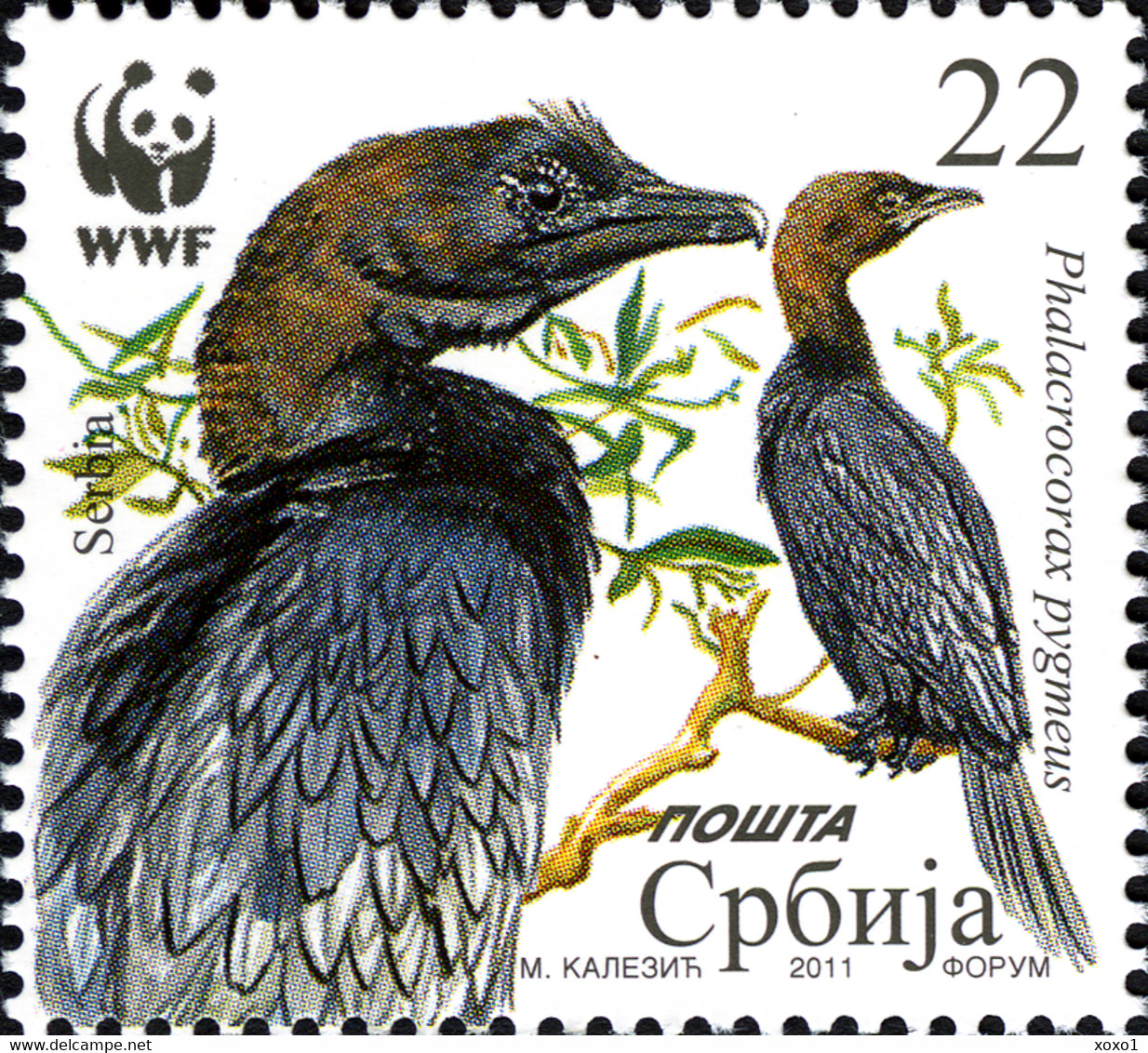 Serbia 2011 MiNr. 400 - 403  Serbien BIRDS WWF  Protected Species The Pygmy Cormorant 4v  MNH**  5,00 € - Albatros