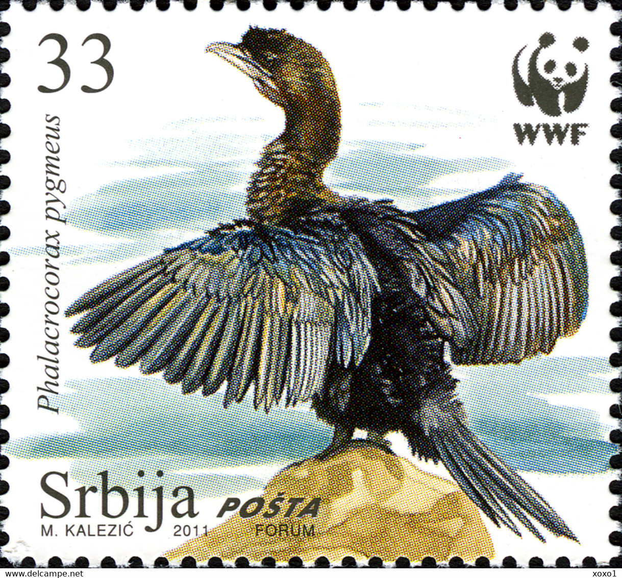 Serbia 2011 MiNr. 400 - 403  Serbien BIRDS WWF  Protected Species The Pygmy Cormorant 4v  MNH**  5,00 € - Albatrosse & Sturmvögel