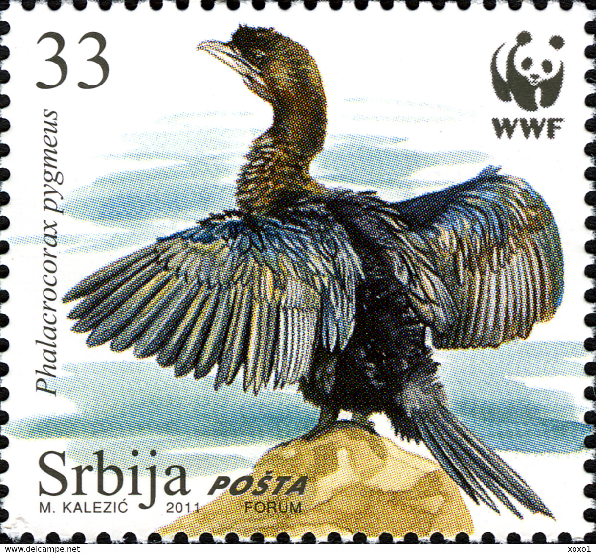 Serbia 2011 MiNr. 400 - 403  Serbien BIRDS WWF  Protected Species The Pygmy Cormorant 4v  MNH**  5,00 € - Albatros & Stormvogels