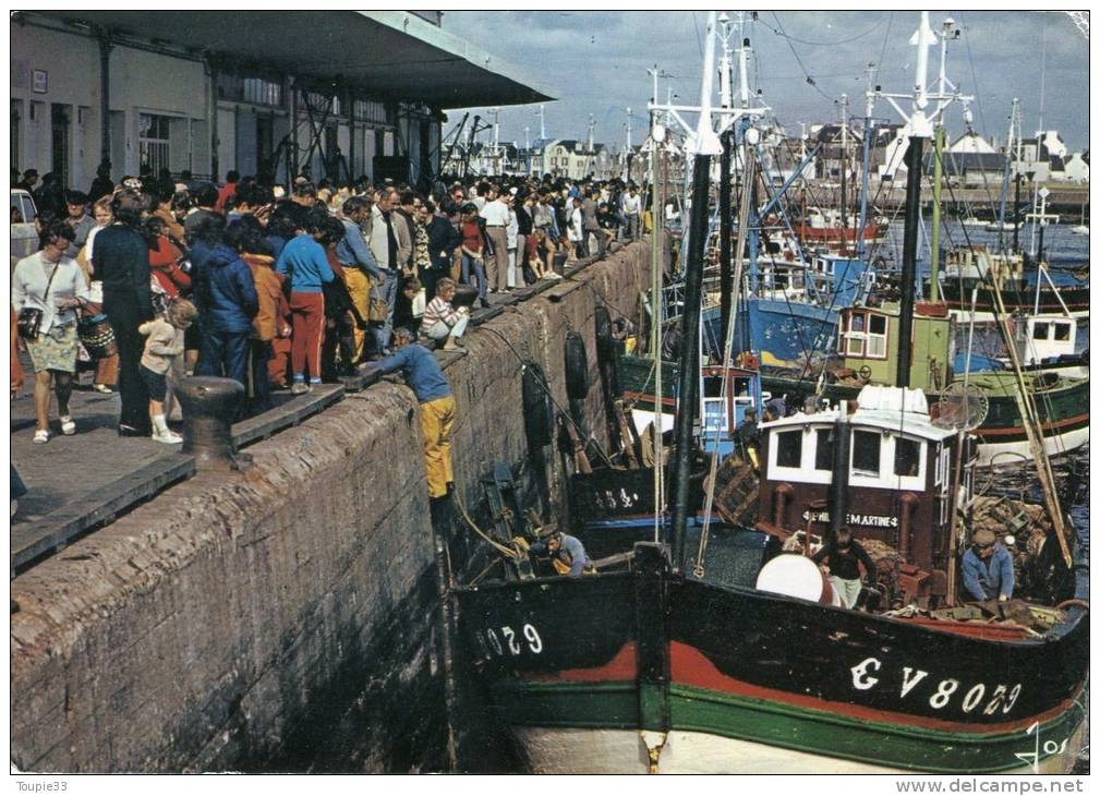 Le Guilvinec  Le Retour Des Bateaux De Pêche - Guilvinec