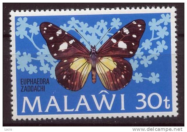 MALAWI 1973 MNH**- STAMP WITH ERROR - Malawi (1964-...)