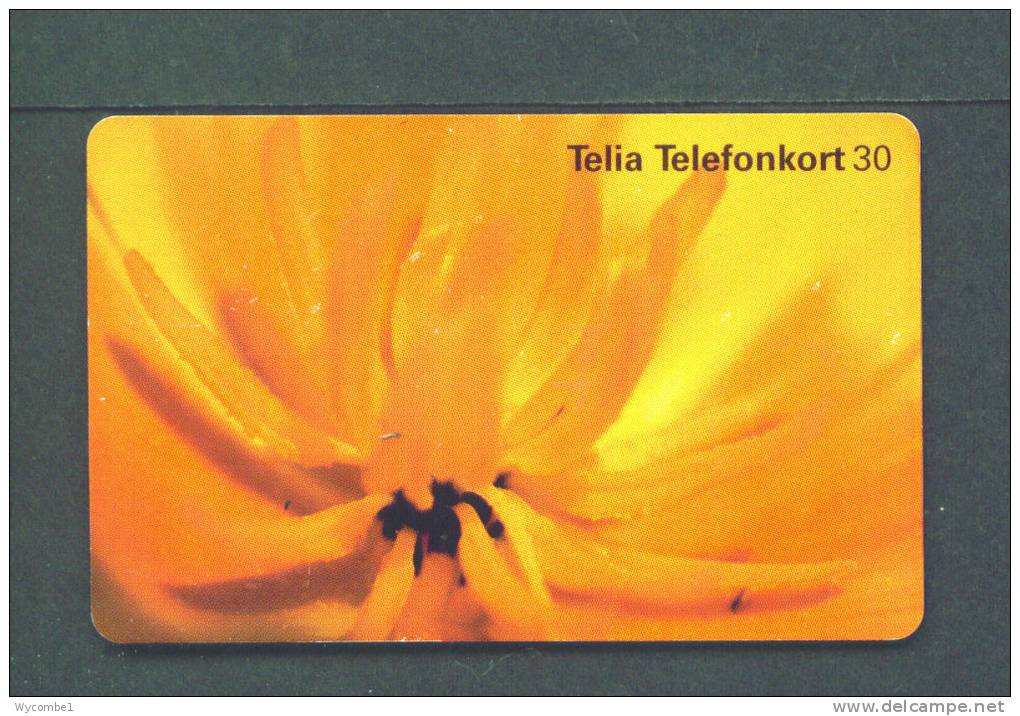 SWEDEN  -  Chip Phonecard As Scan - Schweden