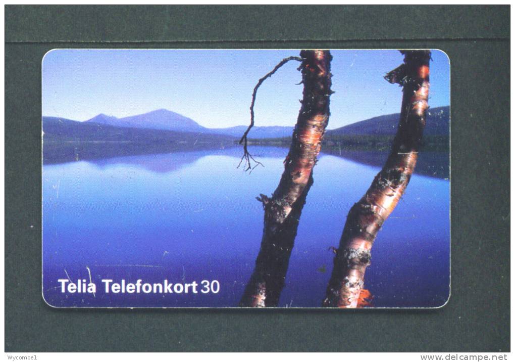 SWEDEN  -  Chip Phonecard As Scan - Suecia