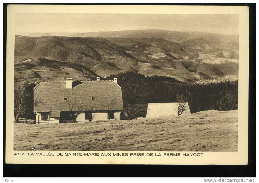 Haut Rhin 4877 La Vallée De Sainte Marie Aux Mines Prise De La Ferme Haycot Braun - Sainte-Marie-aux-Mines