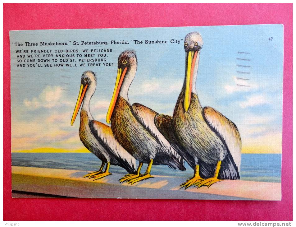 Pelicans The Three Musketeers --Florida > St Petersburg  - -- Ref  470 - St Petersburg