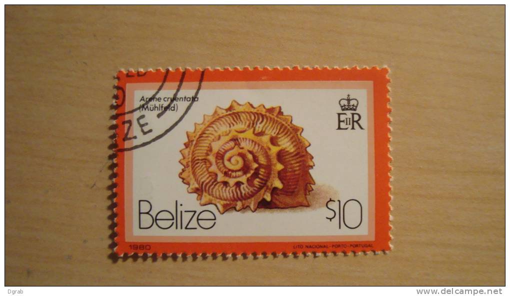 Belize  1980  Scott #487   CTO      10 Dollar Shell - Belize (1973-...)