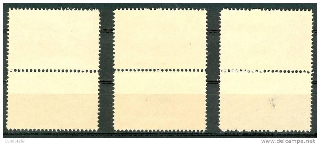 Israel - 1949, Michel/Philex No. : 19/20/21, - MNH - *** - Sh. Tab - Neufs (avec Tabs)