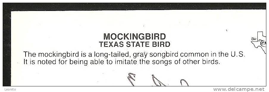 MOCKING BIRD Texas Statebird Able To Imitata Songs Of Other Birds - Autres & Non Classés