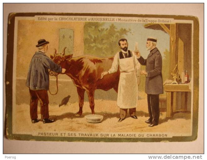 CHROMO CARTE - CHOCOLAT D'AIGUEBELLE - Série PASTEUR - PASTEUR ET SES TRAVAUX SUR LA MALADIE DU CHARBON - Vache Cow - Aiguebelle