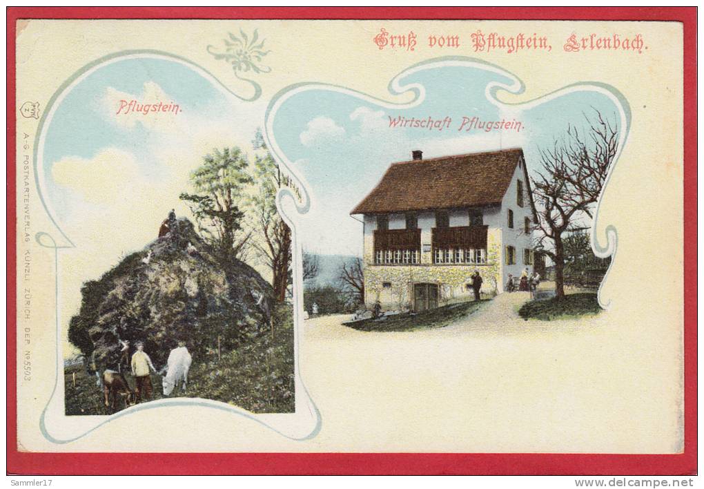 ERLENBACH WIRTSCHAFT PFLUGSTEIN, 1906 - Erlenbach