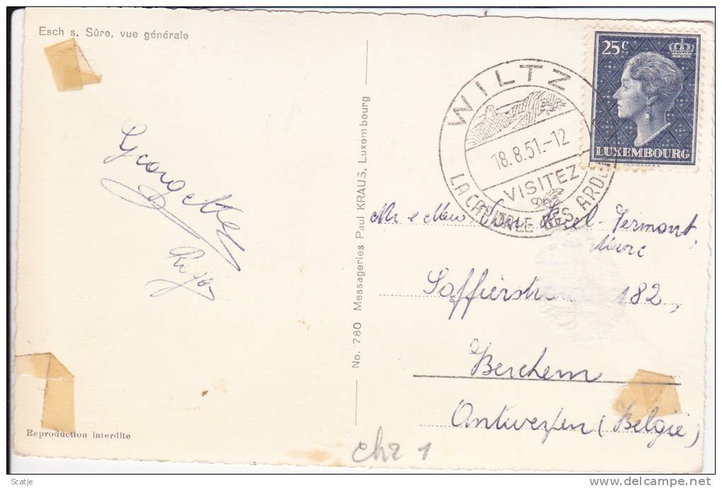 Esch-sur-Sure;  Stempel: Wiltz;  /  Panorama  1951 - Esch-Sauer