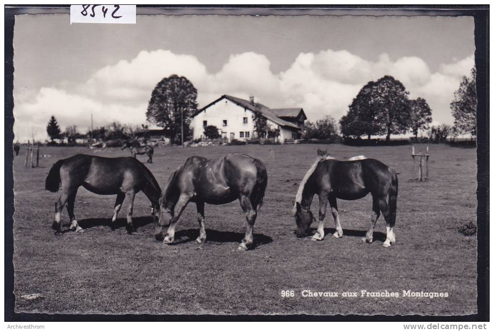 Chevaux Et Ferme Des Franches Montagnes (8542) - Other & Unclassified