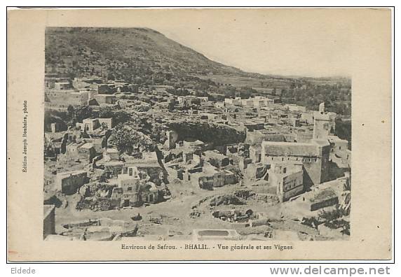 Bhalil Environs De Sefrou Vue Generale Et Ses Vignes Vignoble  Edit Joseph Bouhsira - Autres & Non Classés