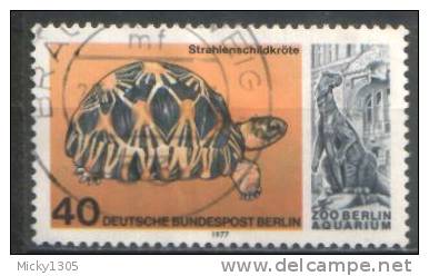 Germany / Berlin - Mi-Nr 554 Gestempelt / Used (j510) - Schildpadden