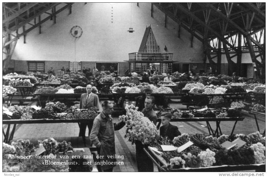 Aalsmeer - Holland- Centre Of European Floriculture  Bloemenlust  MARCHE AUX FLEURS - Aalsmeer