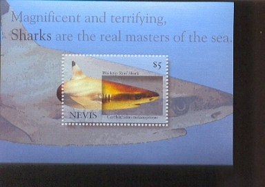 NEVIS    1425 MINT NEVER HINGED SOUVENIR SHEET OF FISH-MARINE LIFE ; SHARK - Fische