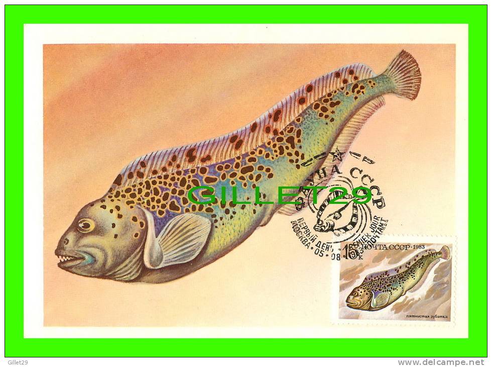 CARTE MAXIMUM, 1983 - POISSON - FISH -  CCCP 1K - - Maximum Cards