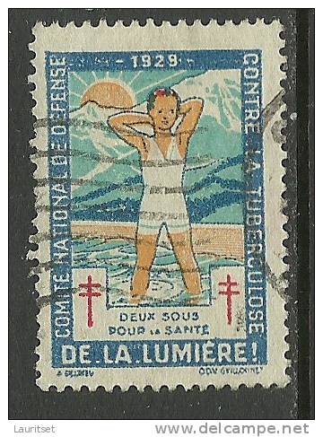 FRANKREICH France Old Vignettes Tuberculosis Tuberculose 1929 O - Antituberculeux