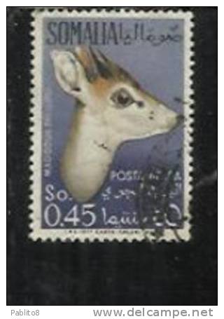 SOMALIA AFIS 1955 POSTA AEREA ANIMALI AIR MAIL ANIMALS FAUNA MADOQUA PHILLIPSI CENT. 45 USATO USED OBLITERE´ - Somalia (AFIS)