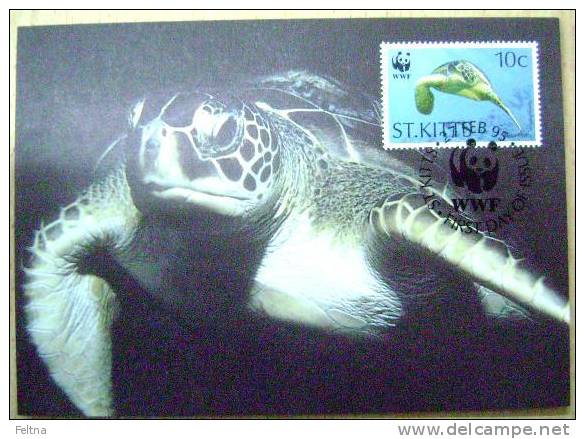 1995 ST. KITTS WWF MAXIMUM CARD 1 TURTLE TURTLES TORTOISE SCHILDKROTE - Schildkröten