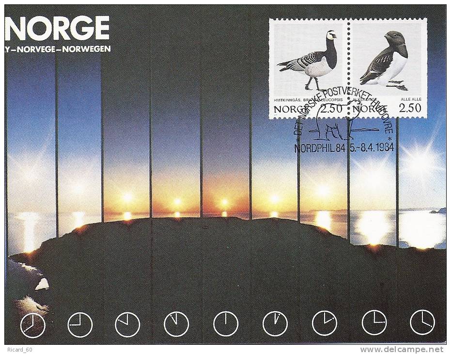 Carte Maximum Norvège, Exposition Philatélique Hvdovr 1984,soleil De Minuit,midnight Sun, Oiseaux,ours,5-8-4-1984 - Cartes-maximum (CM)