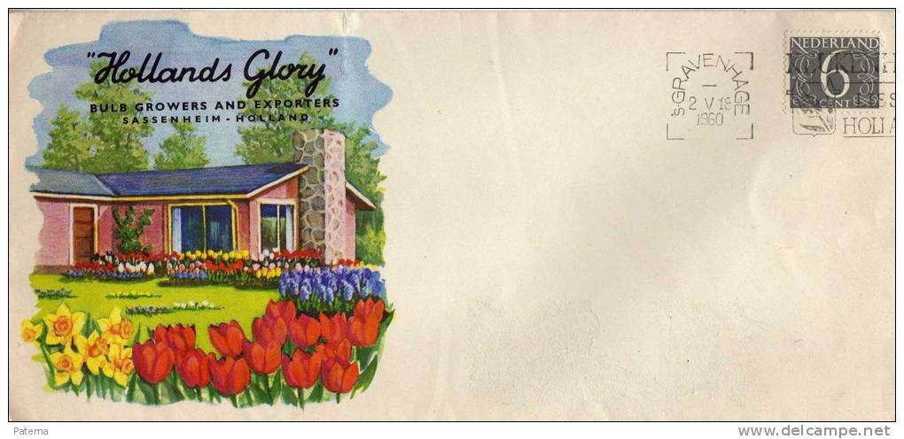 Carta  Gravenhage 1960 Holanda, La Haya, Cover - Storia Postale