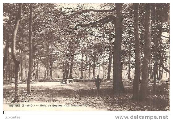 BEYNES. BOIS DE BEYNES. LA GRANDE TABLE. - Beynes