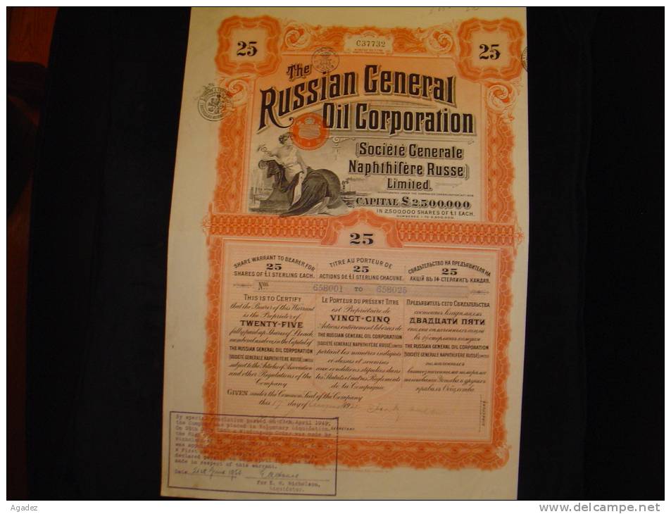 Titre De 25 Actions " The Russian General Oil Corporation " 1922 Reste Des Coupons - Pétrole