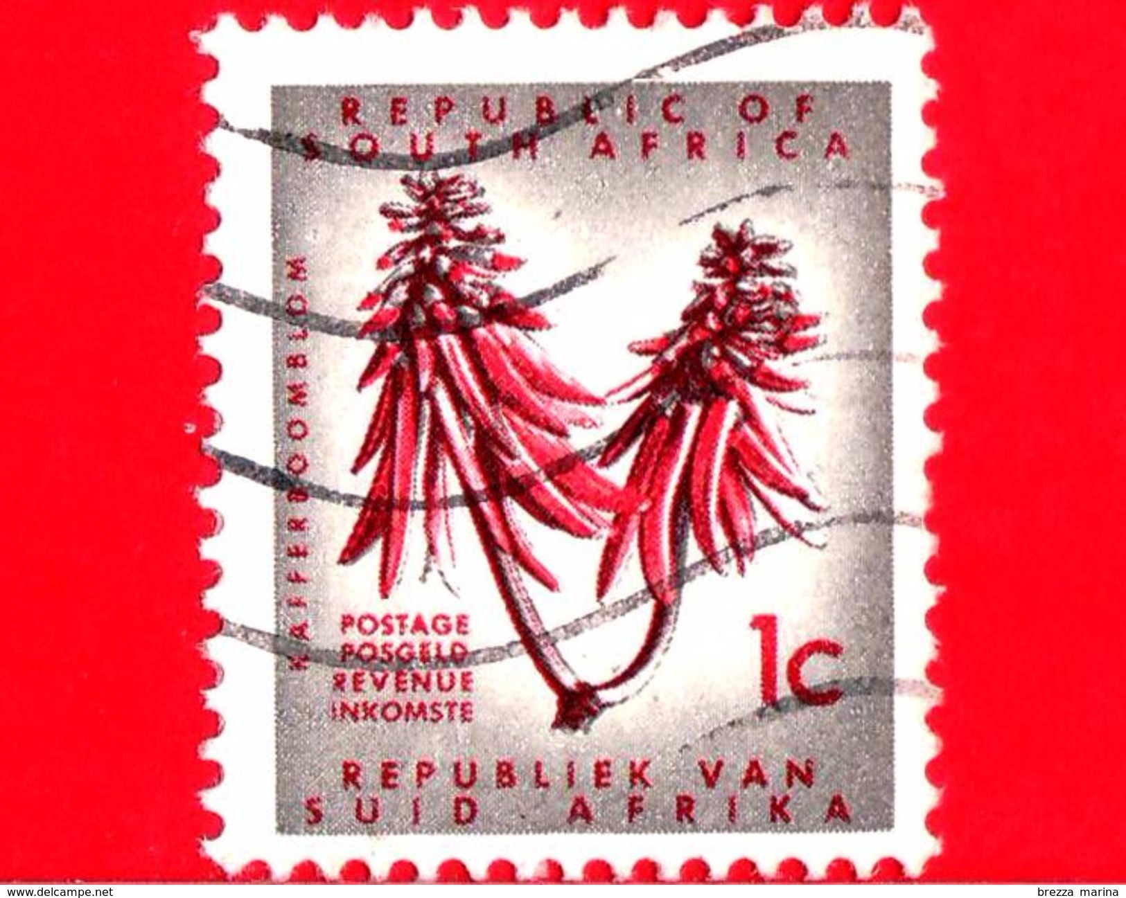 SUD AFRICA - Usato - 1968 - Fiori - Erythrina Flower - 1 - Gebraucht