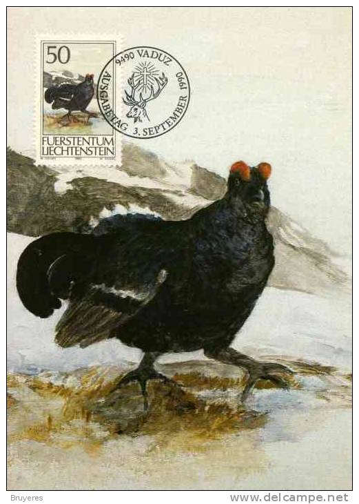 Carte Postale Du Liechtenstein Avec Timbre Et Illust. "Coq De Bouleau" Et Obli. Vaduz 03/09/1990 - Gallinacées & Faisans