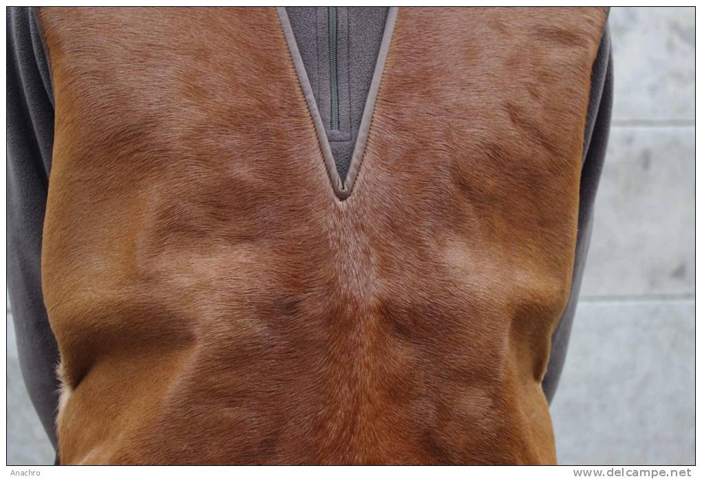 GILET De BERGER VINTAGE PAYSAN Poil Et CUIR PEAU  DE CHAMOIS  Pour TRANSHUMANCE / Origine Régionale - 1940-1970 ...