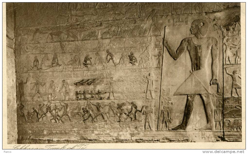 Egypt - Sakkara - Tomb Of Ti. [CPM Postcard] - Pyramids