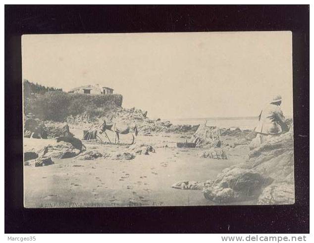 St Brévin Les Pins Le Pointeau édit.V.P. Ane De Pêcheur , épuisette Haveneau Filet, Précurseur - Saint-Brevin-les-Pins